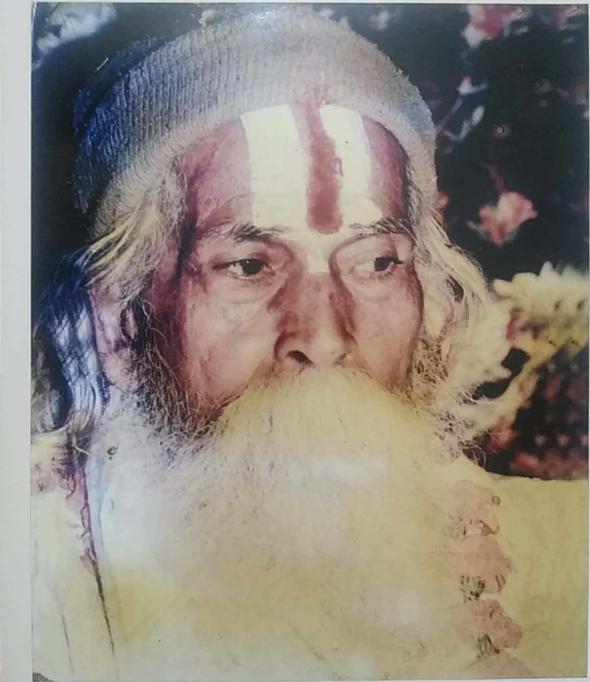 Image Here